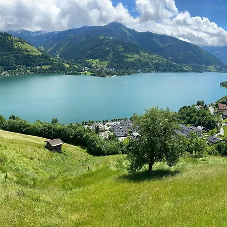 Lasch In Adler Including The Zell Am Summer Card 公寓 卡普伦