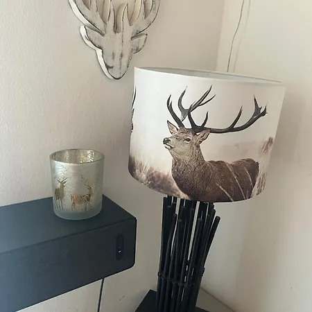 Lasch In Adler Including The Zell Am Summer Card 卡普伦