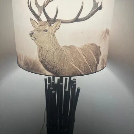 Lasch In Adler Διαμέρισμα