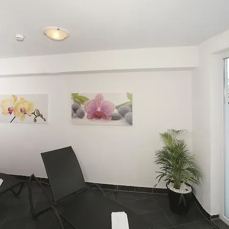 Lasch In Adler Including The Zell Am Summer Card *