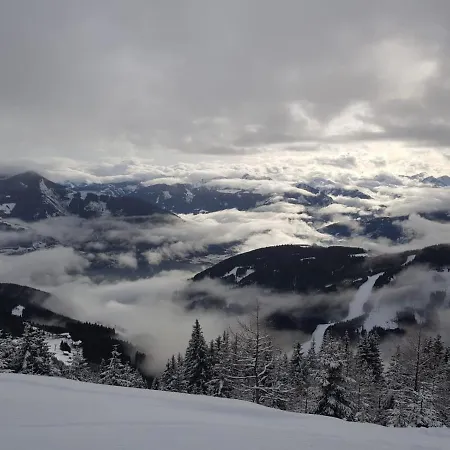 Apartament Lasch In Adler *