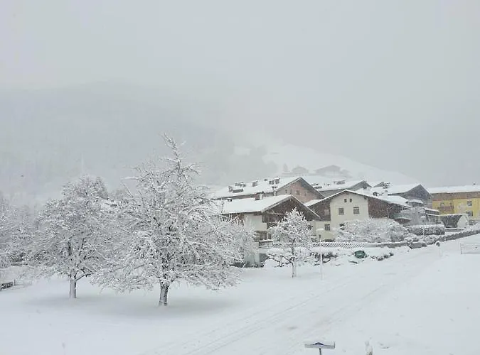 Lasch In Adler *